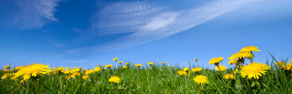 žena na procházce v jarní přírodě jako jednoduchý pohyb pro zdraví a hubnutí